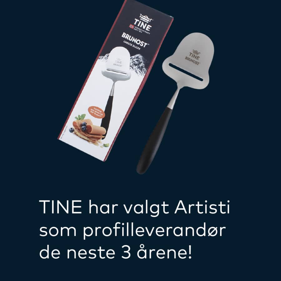TINE has chosen Artisti! 4
